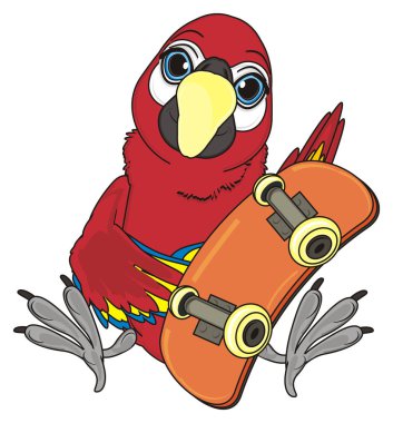 sevimli kırmızı papağan