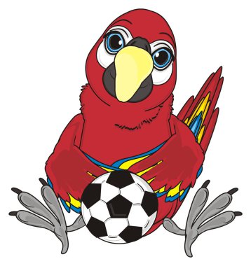 sevimli kırmızı papağan