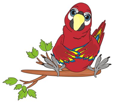 sevimli kırmızı papağan