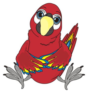 sevimli kırmızı papağan
