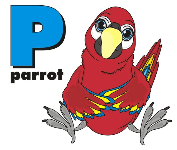 cute red parrot