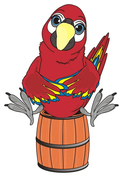 นกแก้วสีแดงน่ารัก — ภาพถ่ายสต็อก