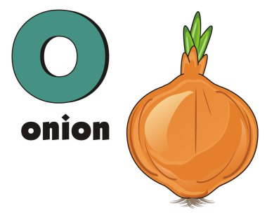 word ve işaret ile soğan