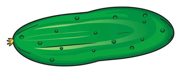 One green cucumber — Stock Photo, Image