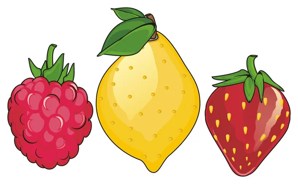 Drei verschiedene Früchte — Stockfoto