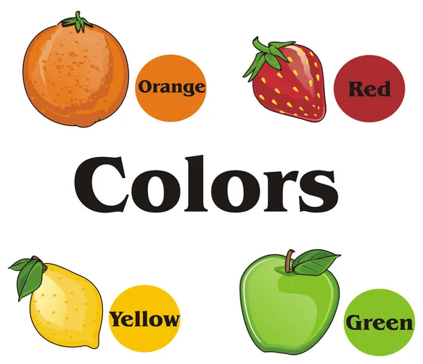 Ovoce a barvy — Stock fotografie