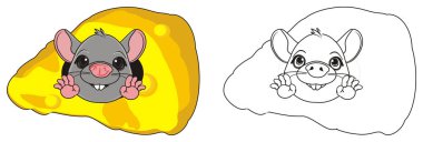 Peynir de, iki farklı fareler