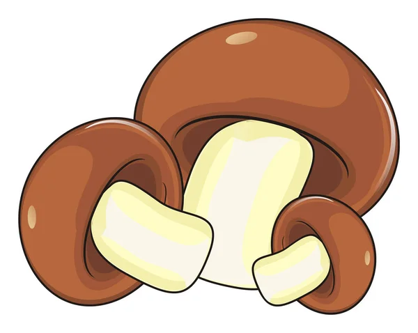 Trzy grzyby brązowy — Zdjęcie stockowe