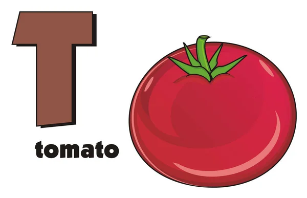Tomate mit Wort und Zeichen — Stockfoto