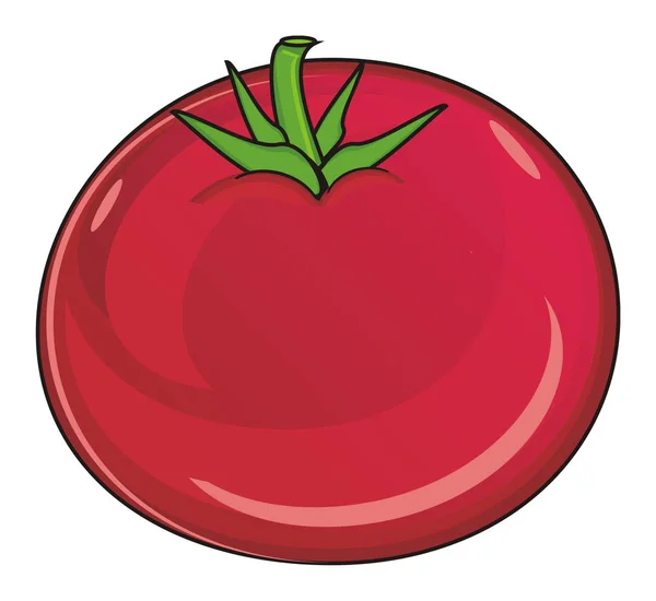 Jedna červená rajčata — Stock fotografie