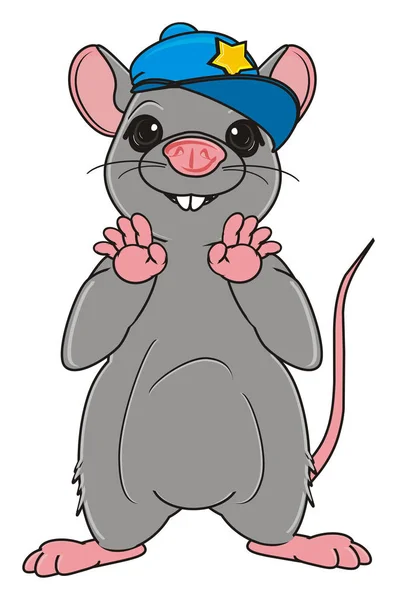 Rat gris mignon — Photo
