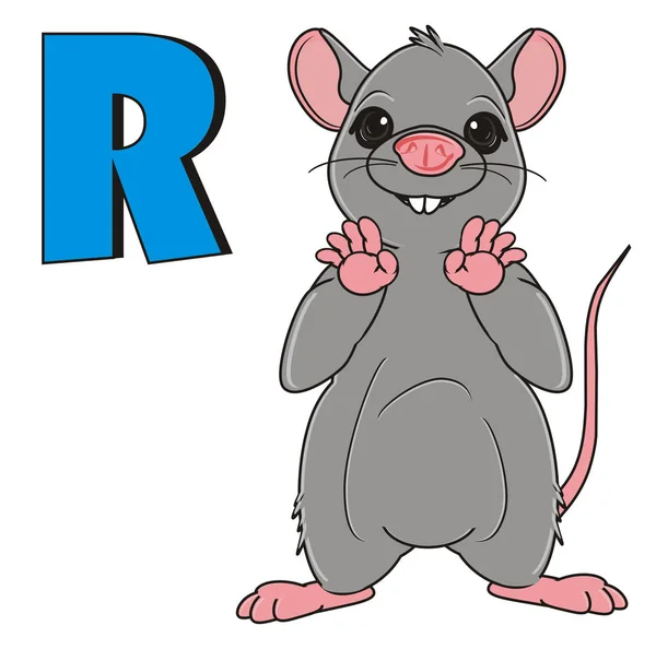 Carino ratto grigio — Foto Stock