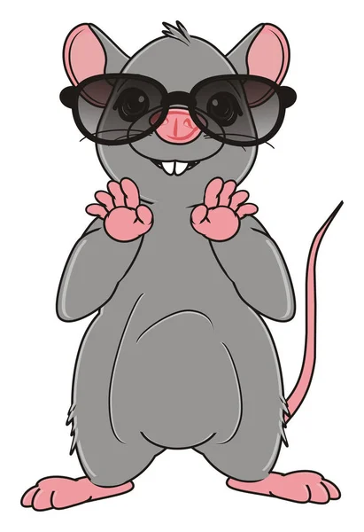 Carino ratto grigio — Foto Stock