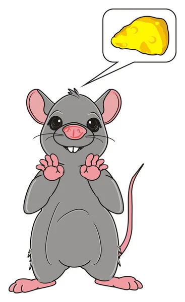 Rato cinzento bonito — Fotografia de Stock