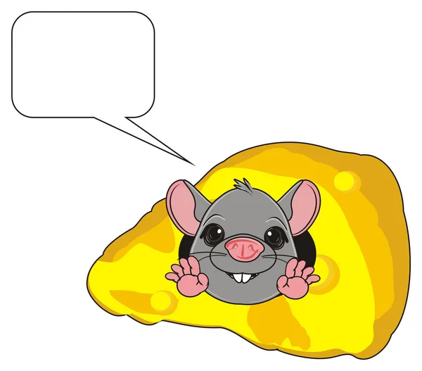 귀여운 회색 쥐 — 스톡 사진