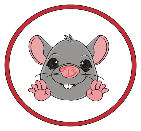 Rata gris lindo —  Fotos de Stock