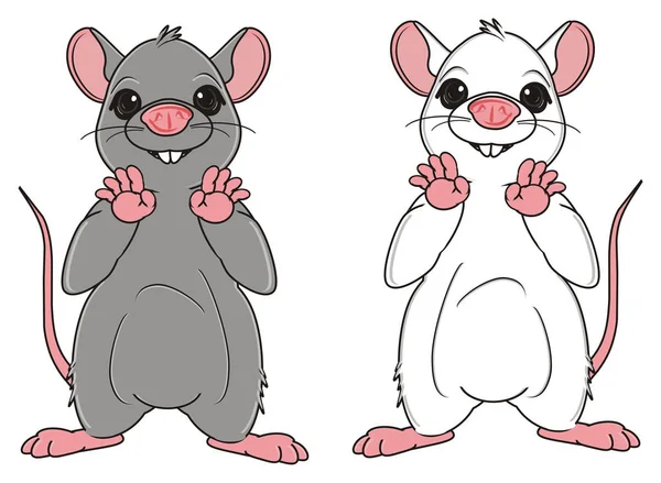 Dvě různé krysy — Stock fotografie