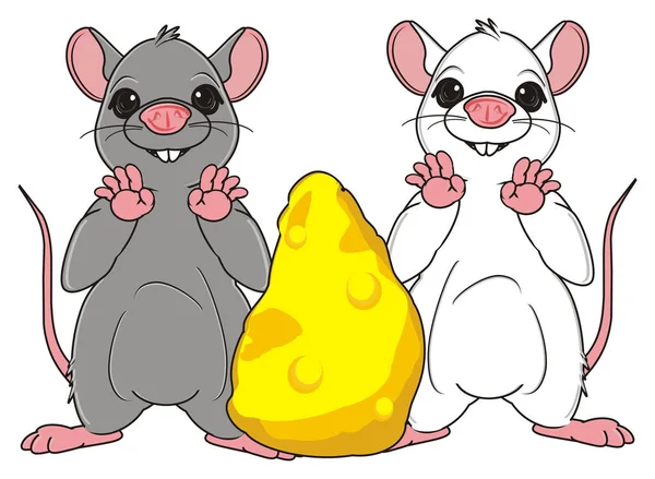 Twee grappige ratten — Stockfoto