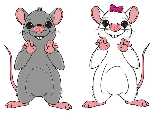 Twee schattige ratten — Stockfoto