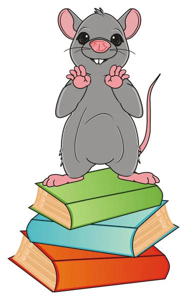 Rato cinzento bonito — Fotografia de Stock