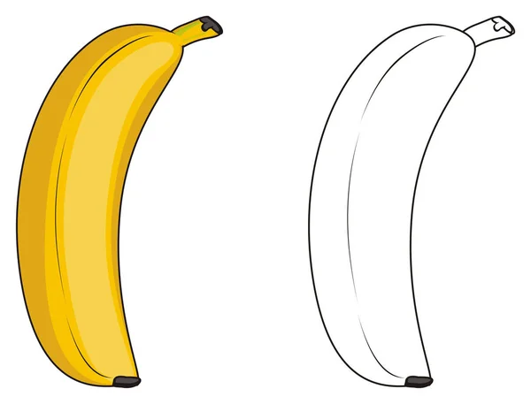 Två olika bananer — Stockfoto