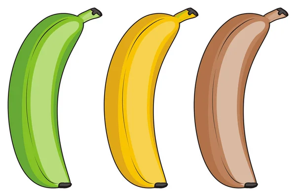 Três bananas diferentes — Fotografia de Stock