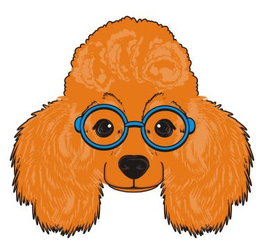 Sevimli fino köpeği köpek