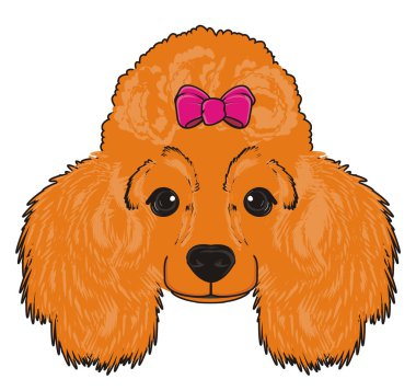 Sevimli fino köpeği köpek