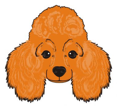 Sevimli fino köpeği köpek