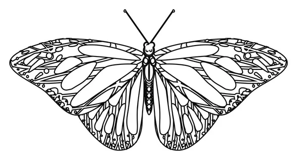 Färbung eines Schmetterlings — Stockfoto