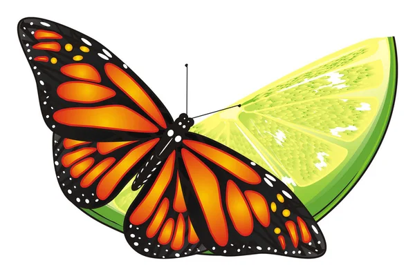 Одна оранжевая бабочка — стоковое фото
