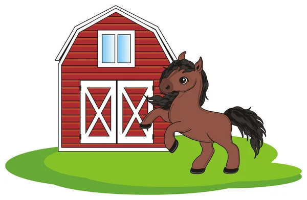Mały, ładny koń — Zdjęcie stockowe