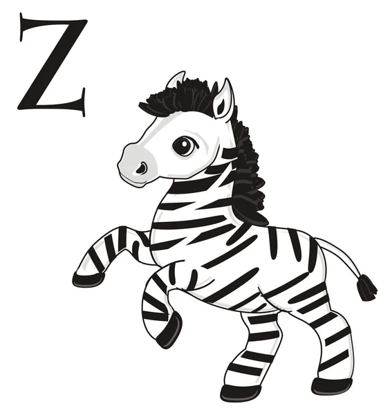 Kis aranyos zebra — Stock Fotó