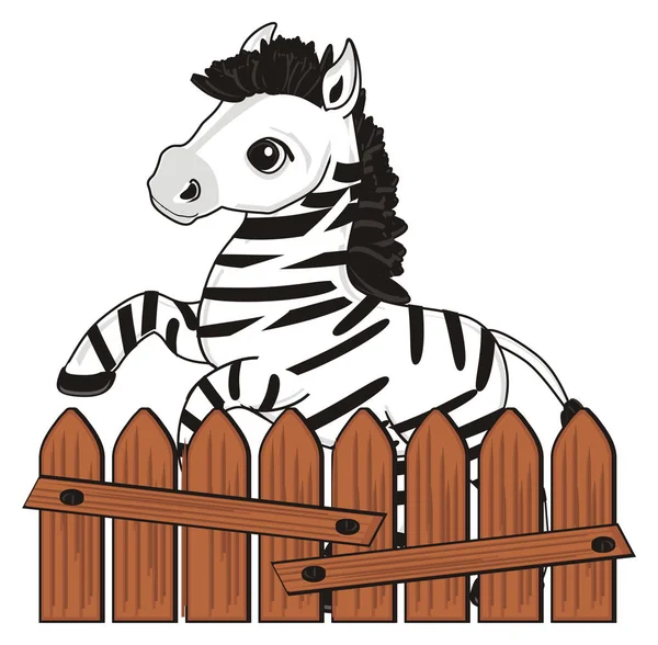 Piccola zebra carino — Foto Stock