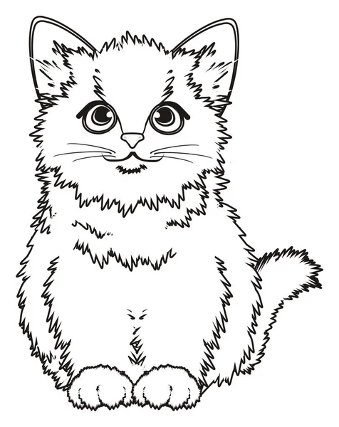 Kolorowanka mały kotek — Zdjęcie stockowe
