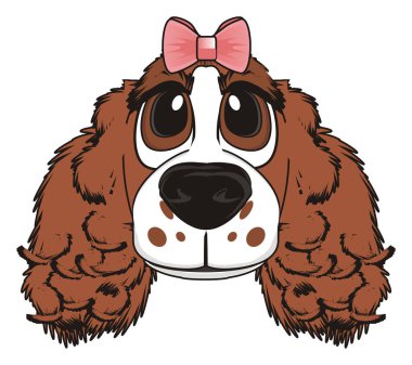 şirin kahverengi spaniel 