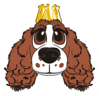 şirin kahverengi spaniel 