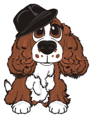 şirin kahverengi spaniel 