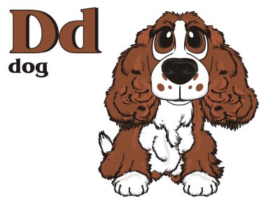 şirin kahverengi spaniel 