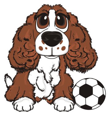 şirin kahverengi spaniel 