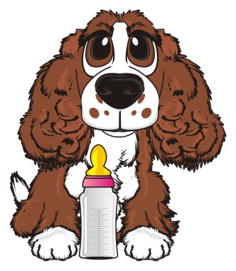 şirin kahverengi spaniel 