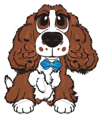 şirin kahverengi spaniel 