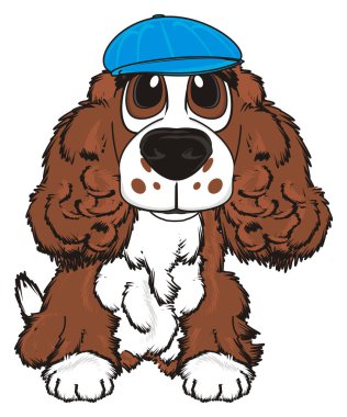 şirin kahverengi spaniel 