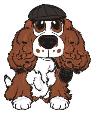 şirin kahverengi spaniel 