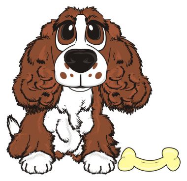 şirin kahverengi spaniel 