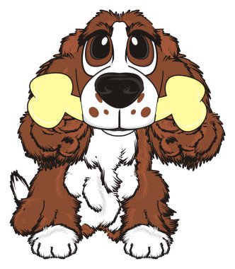 şirin kahverengi spaniel 