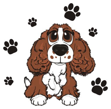 şirin kahverengi spaniel 