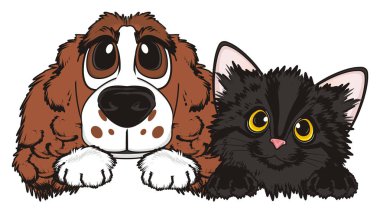 şirin kahverengi spaniel 