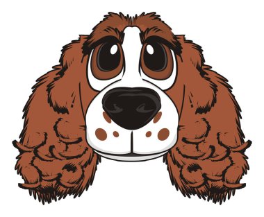 şirin kahverengi spaniel 