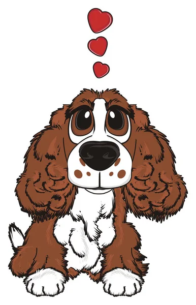 şirin kahverengi spaniel 